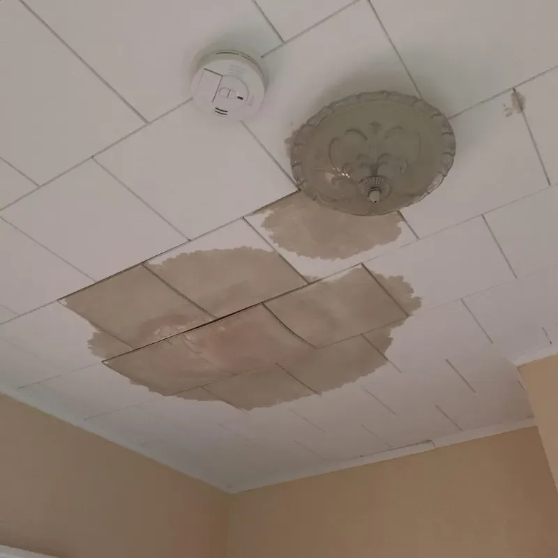 Ceiling Water Damage Repair in Wilkesboro, NC