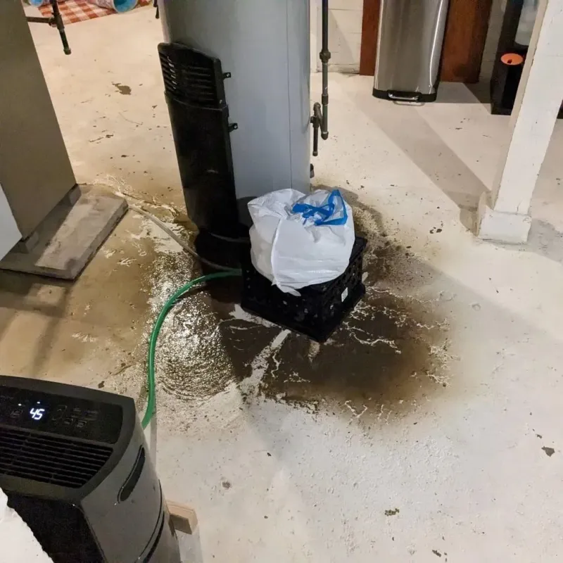 Sewage Backup Cleanup Service in Wilkesboro, NC
